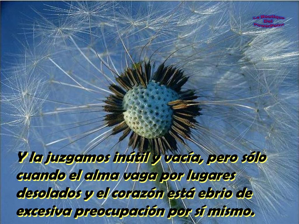 Y la juzgamos inútil y vacía, pero sólo cuando el alma vaga por lugares desolados y el corazón está ebrio de excesiva preocupación por sí mismo.