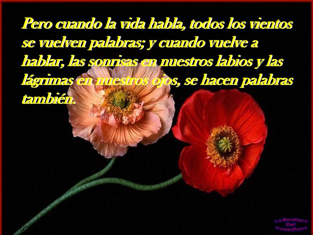 Pero cuando la vida habla, todos los vientos se vuelven palabras; y cuando vuelve a hablar, las sonrisas en nuestros labios y las lágrimas en nuestros ojos, se hacen palabras también.