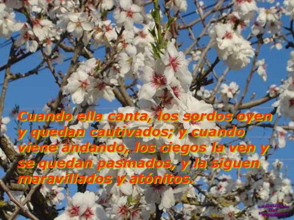 Cuando ella canta, los sordos oyen y quedan cautivados; y cuando viene andando, los ciegos la ven y se quedan pasmados, y la siguen maravillados y atónitos.