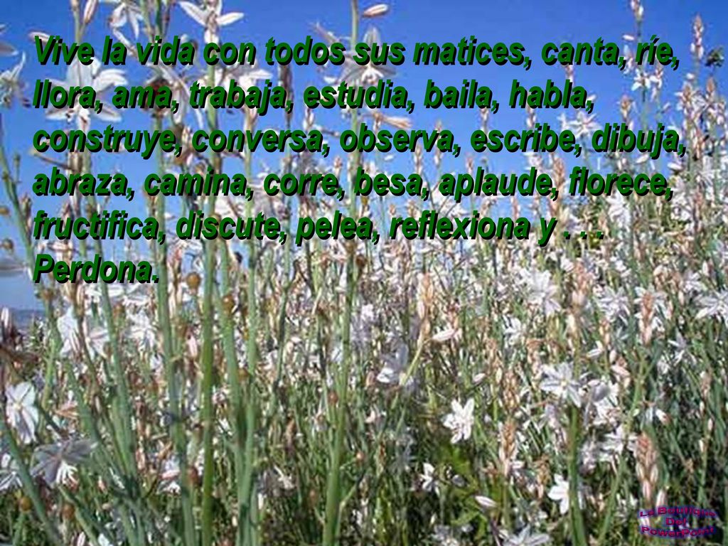 Vive la vida con todos sus matices, canta, ríe, llora, ama, trabaja, estudia, baila, habla, construye, conversa, observa, escribe, dibuja, abraza, camina, corre, besa, aplaude, florece, fructifica, discute, pelea, reflexiona y .