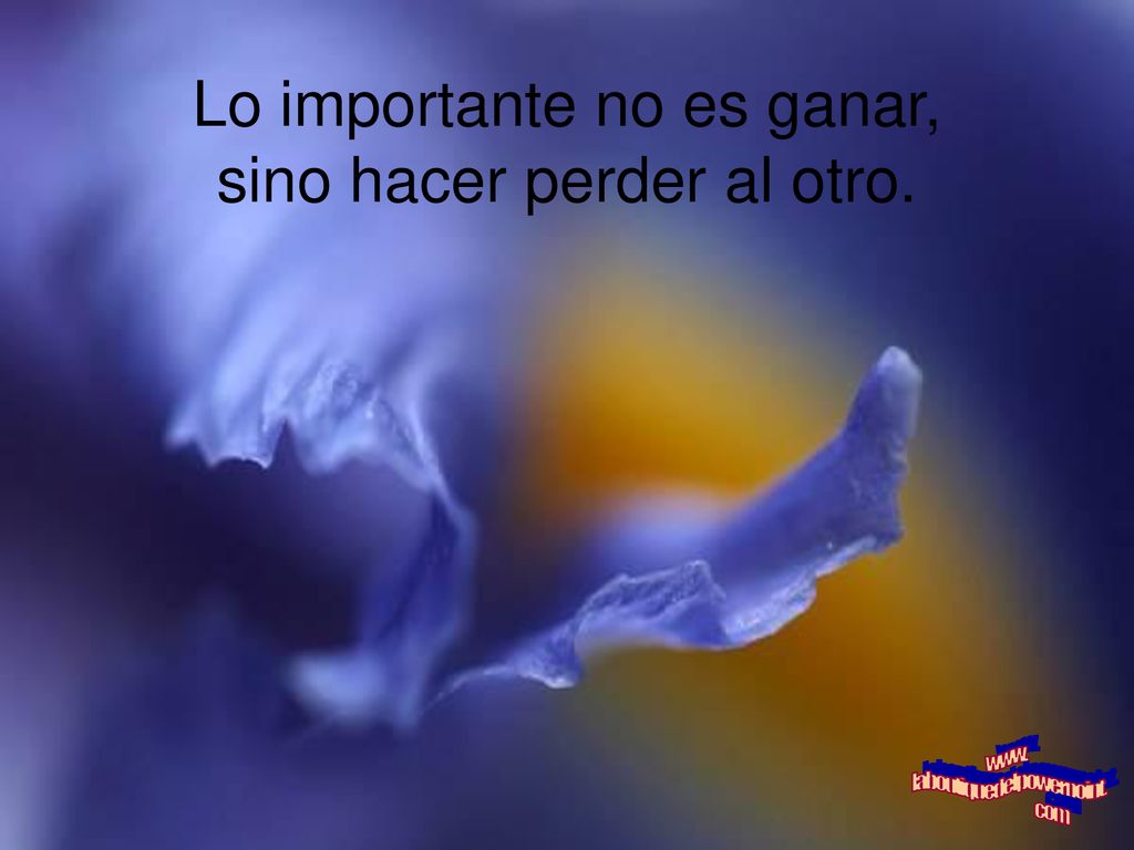 Lo importante no es ganar, sino hacer perder al otro.