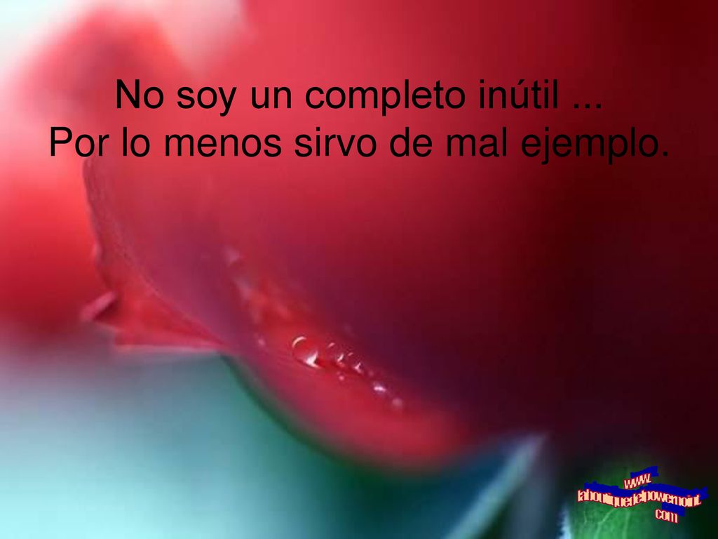 No soy un completo inútil ... Por lo menos sirvo de mal ejemplo.