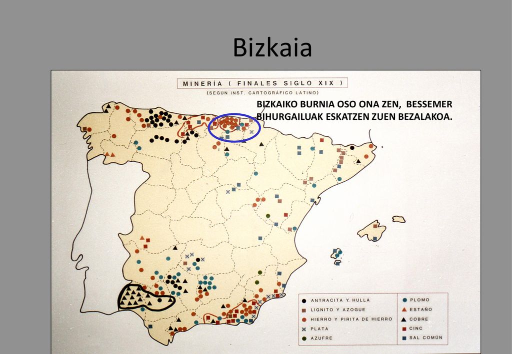 Bizkaia BIZKAIKO BURNIA OSO ONA ZEN, BESSEMER BIHURGAILUAK ESKATZEN ZUEN BEZALAKOA.