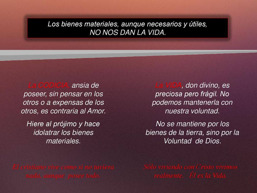 Los bienes materiales, aunque necesarios y útiles, NO NOS DAN LA VIDA.