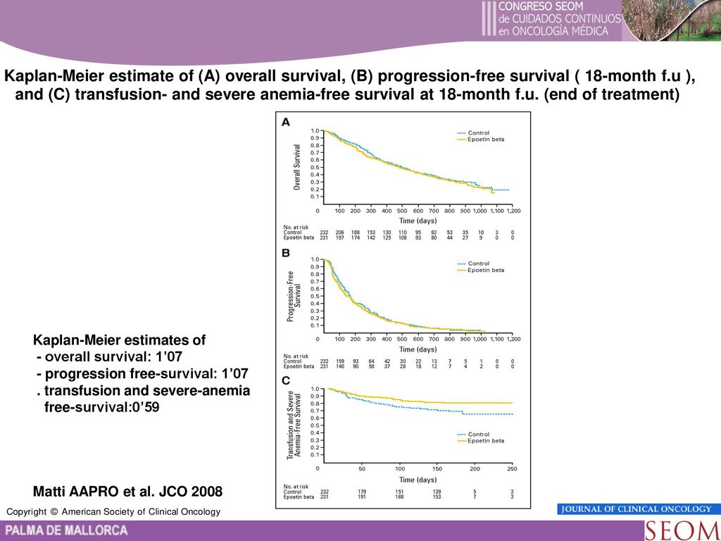 Kaplan-Meier estimate of (A) overall survival, (B) progression-free survival ( 18-month f.u ), and (C) transfusion- and severe anemia-free survival at 18-month f.u. (end of treatment)