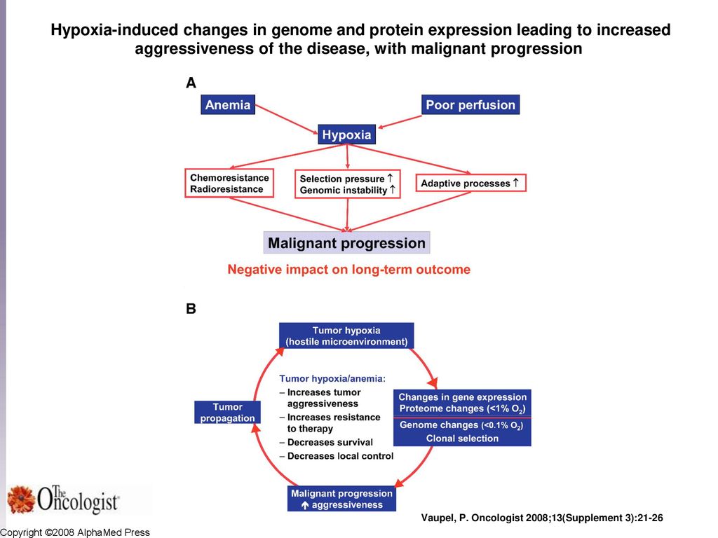 Hypoxia-induced changes in genome and protein expression leading to increased aggressiveness of the disease, with malignant progression