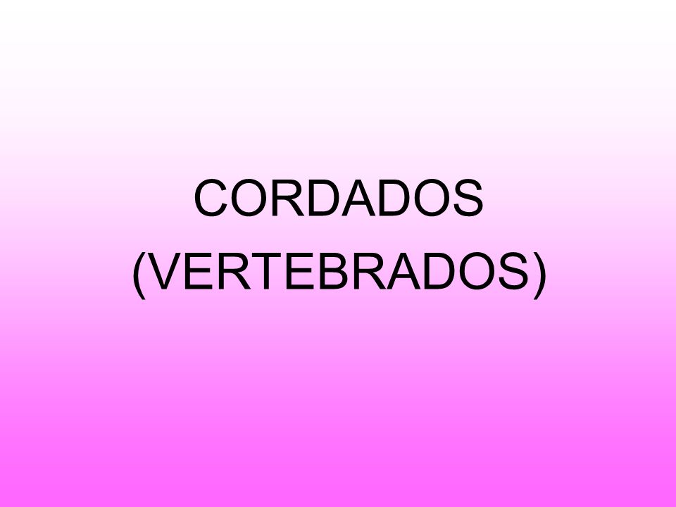 CORDADOS (VERTEBRADOS)