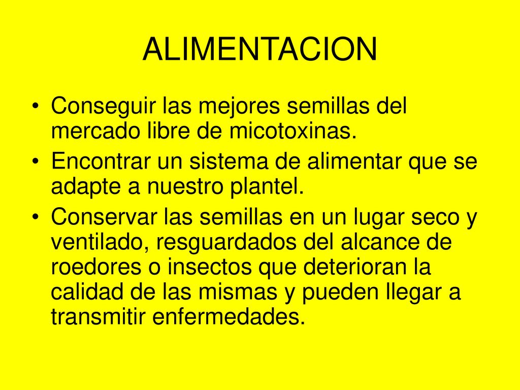 ALIMENTACION Conseguir las mejores semillas del mercado libre de micotoxinas. Encontrar un sistema de alimentar que se adapte a nuestro plantel.
