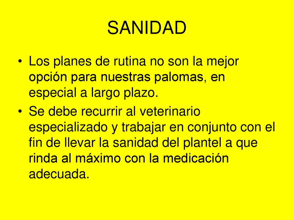 SANIDAD Los planes de rutina no son la mejor opción para nuestras palomas, en especial a largo plazo.