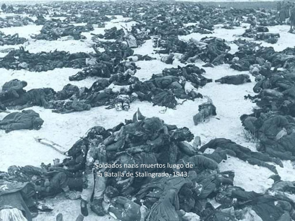 Soldados nazis muertos luego de la Batalla de Stalingrado,