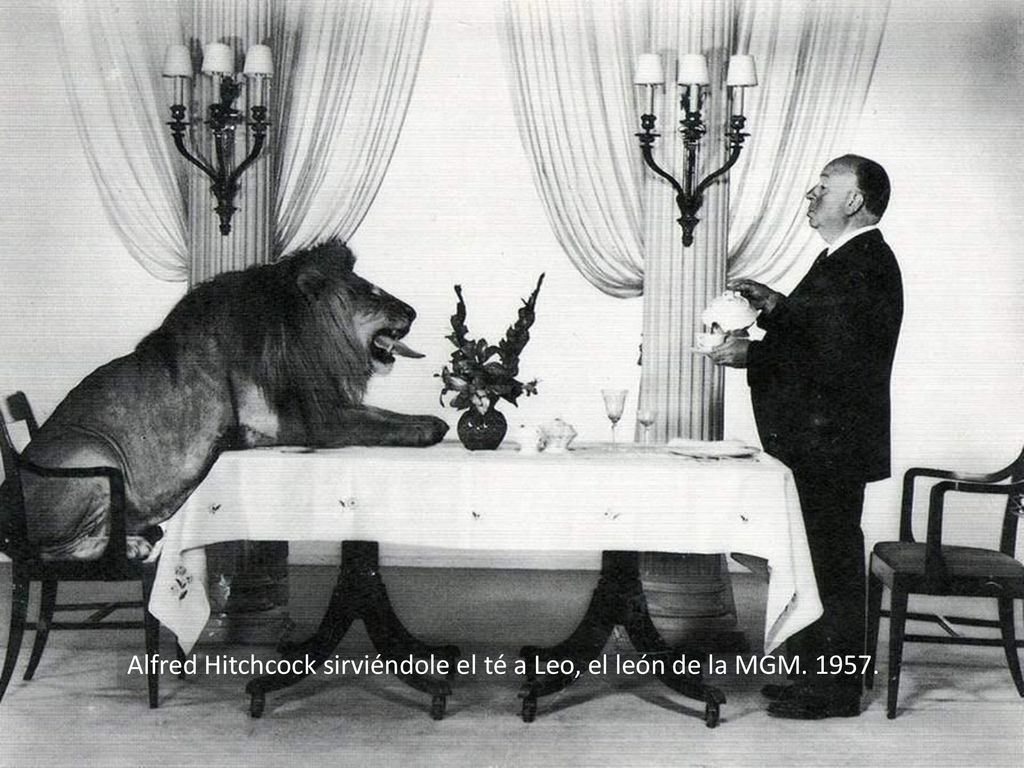 Alfred Hitchcock sirviéndole el té a Leo, el león de la MGM