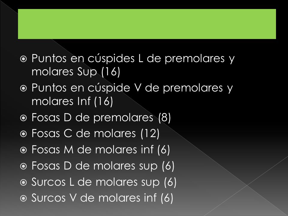 Puntos en cúspides L de premolares y molares Sup (16)