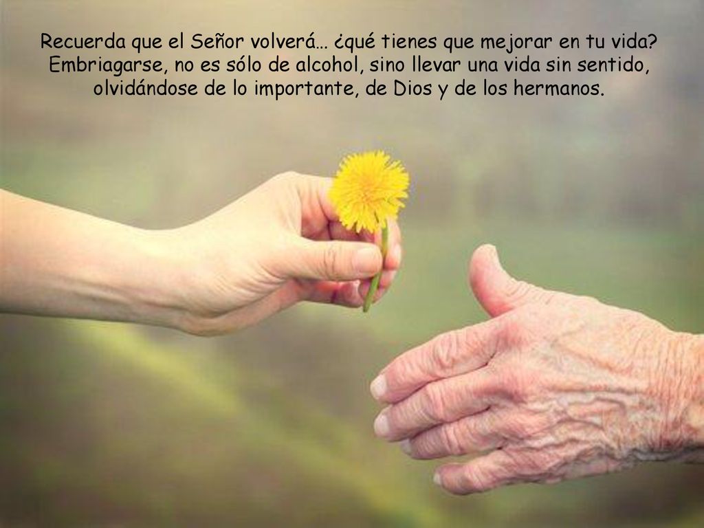Recuerda que el Señor volverá… ¿qué tienes que mejorar en tu vida