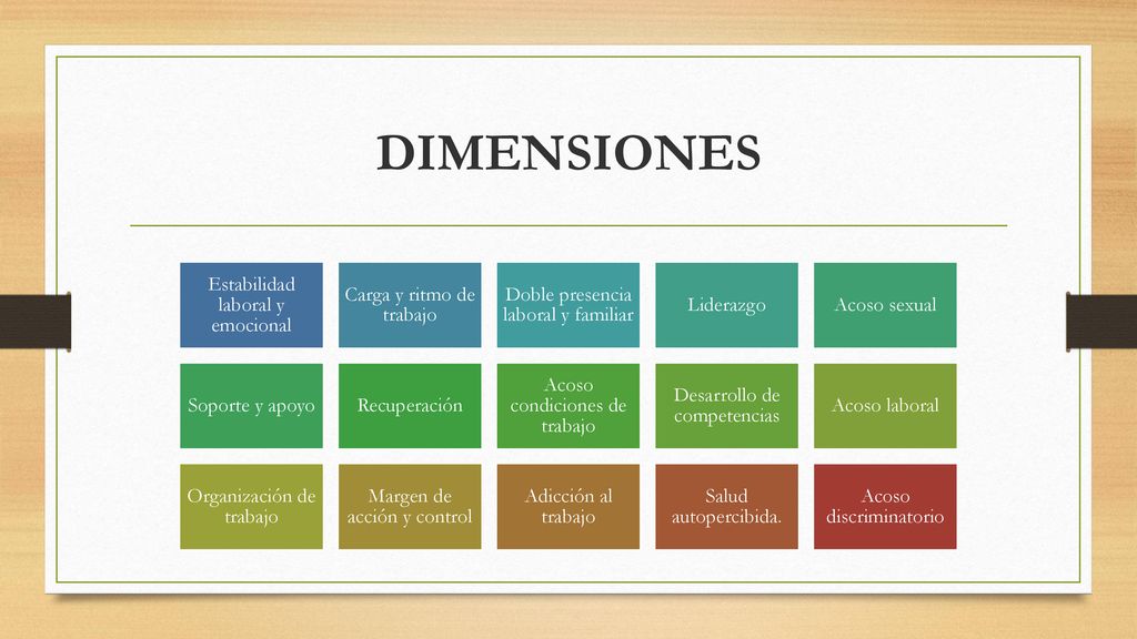 DIMENSIONES Estabilidad laboral y emocional Carga y ritmo de trabajo