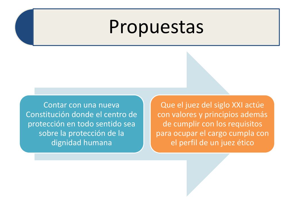 Propuestas Contar con una nueva Constitución donde el centro de protección en todo sentido sea sobre la protección de la dignidad humana.