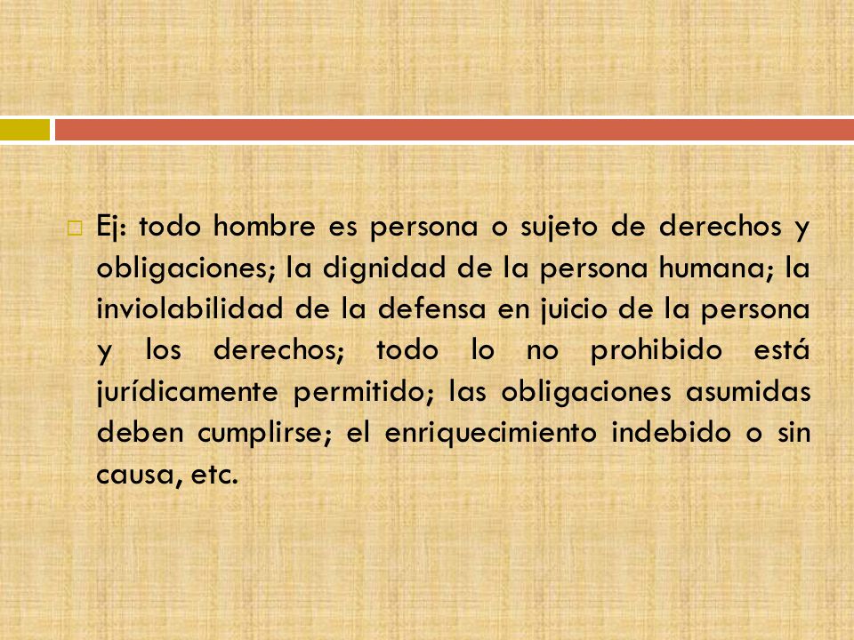 Ej: todo hombre es persona o sujeto de derechos y obligaciones; la dignidad de la persona humana; la inviolabilidad de la defensa en juicio de la persona y los derechos; todo lo no prohibido está jurídicamente permitido; las obligaciones asumidas deben cumplirse; el enriquecimiento indebido o sin causa, etc.