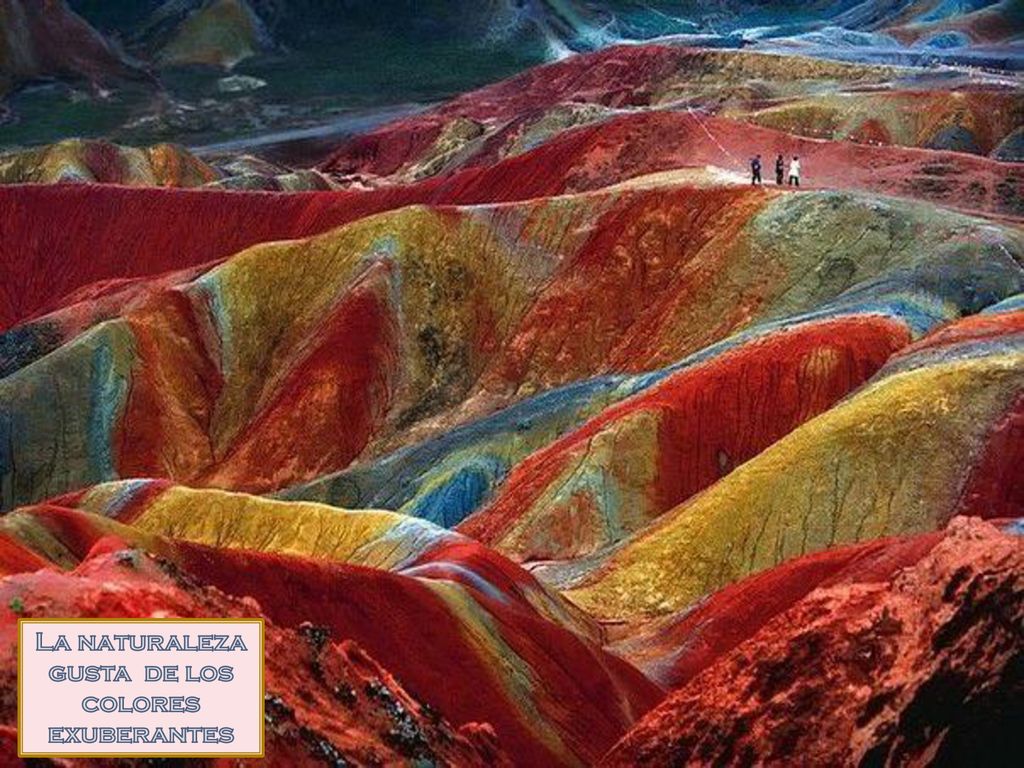 La naturaleza gusta de los colores exuberantes
