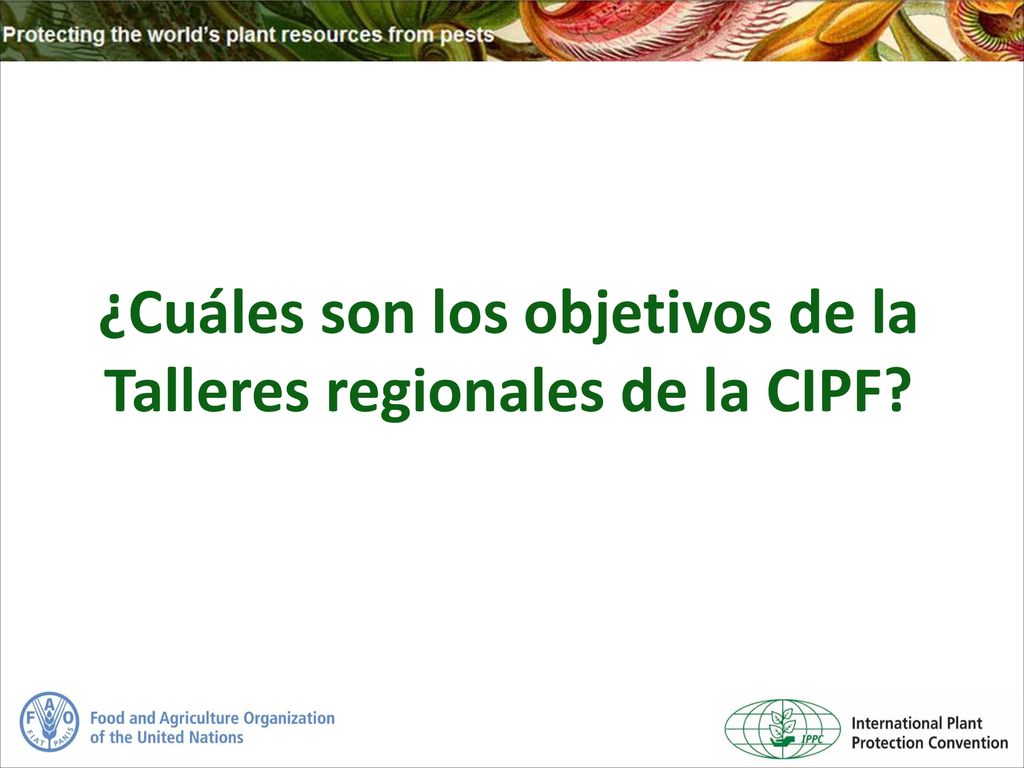 ¿Cuáles son los objetivos de la Talleres regionales de la CIPF