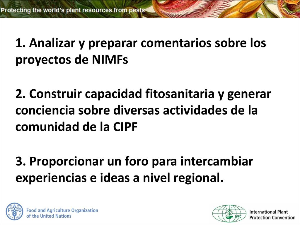 1. Analizar y preparar comentarios sobre los proyectos de NIMFs