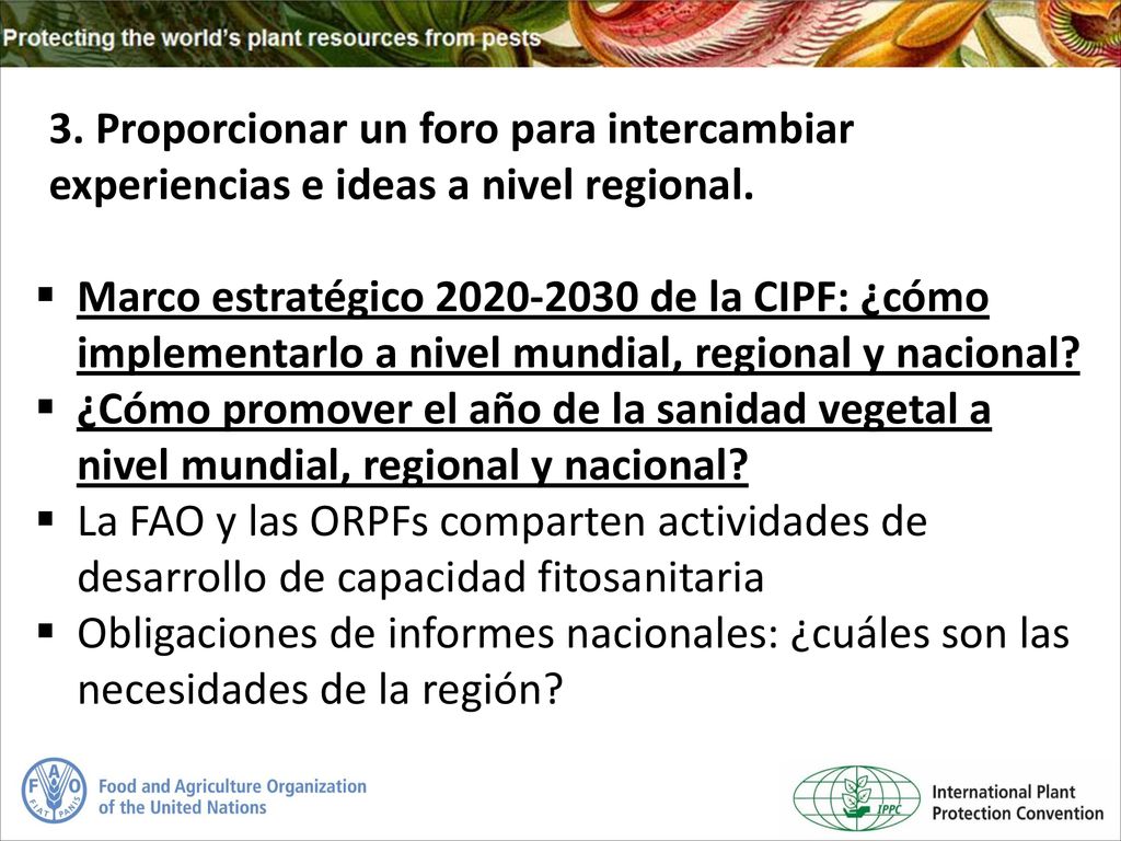 3. Proporcionar un foro para intercambiar experiencias e ideas a nivel regional.