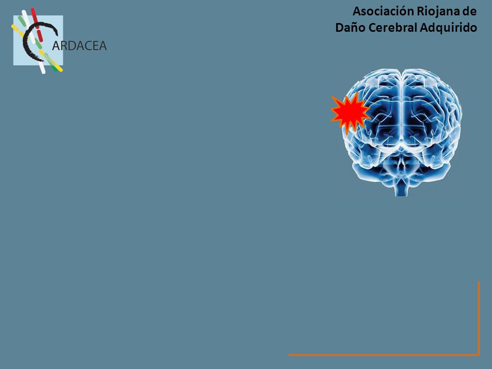 El Cerebro se encarga de: La Supervivencia de la persona.