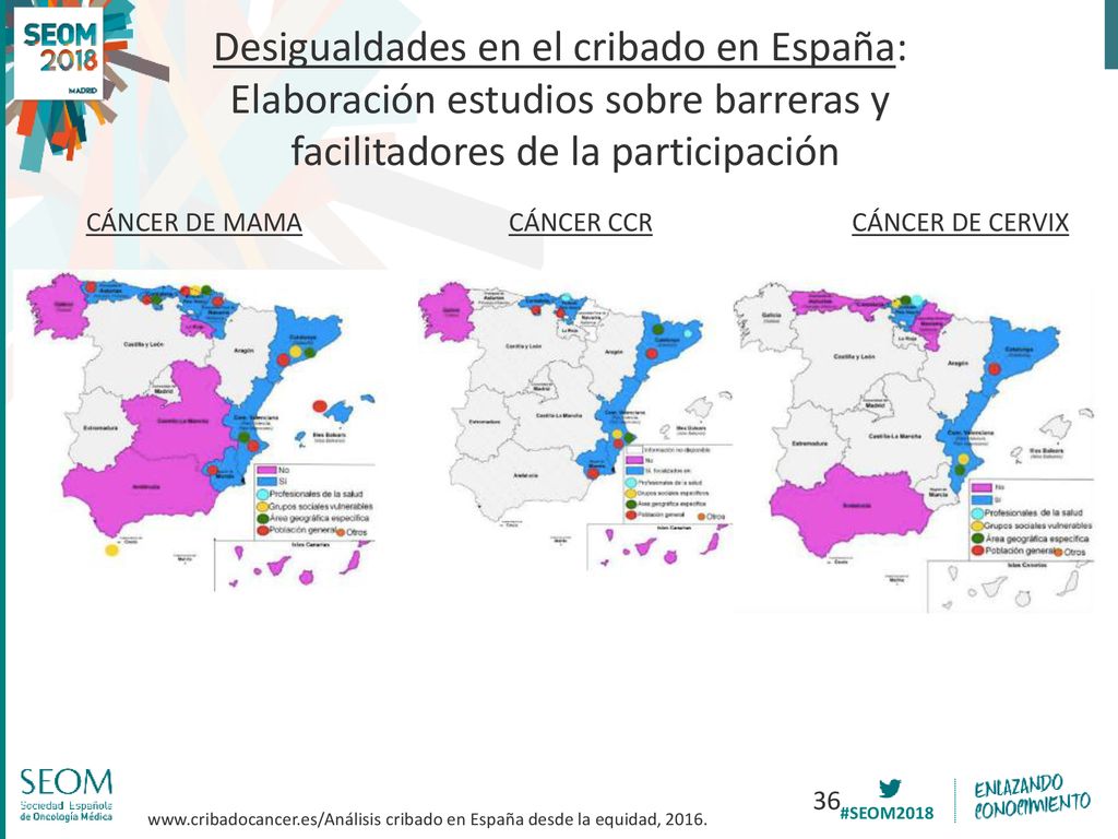 Desigualdades en el cribado en España: Elaboración estudios sobre barreras y facilitadores de la participación