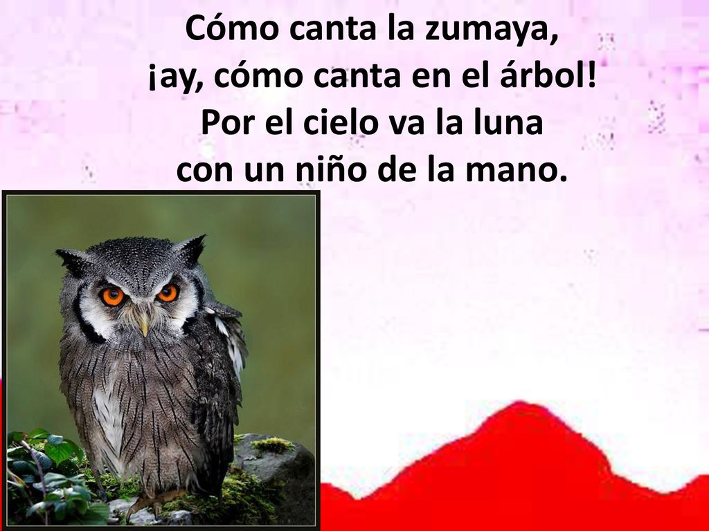 Cómo canta la zumaya, ¡ay, cómo canta en el árbol