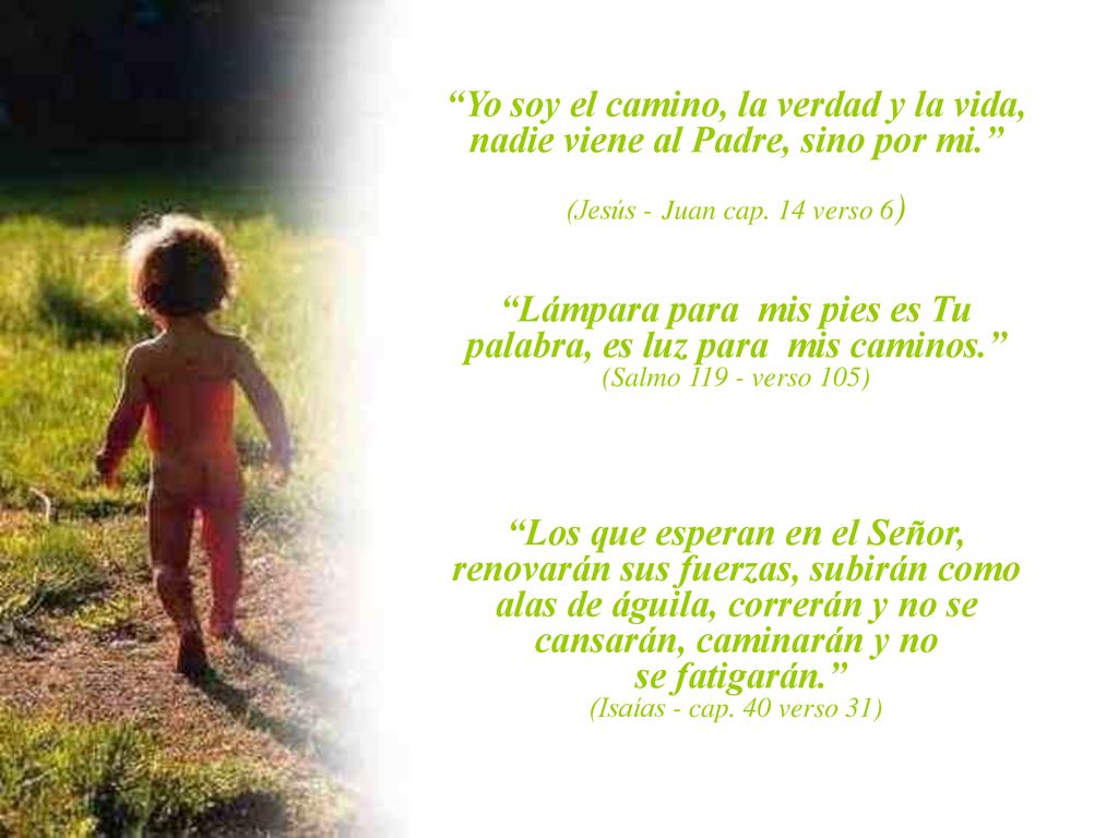 Lámpara para mis pies es Tu palabra, es luz para mis caminos.