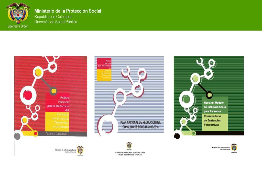 Ministerio de la Protección Social República de Colombia Dirección de Salud Publica