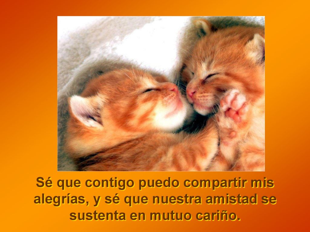 Sé que contigo puedo compartir mis alegrías, y sé que nuestra amistad se sustenta en mutuo cariño.