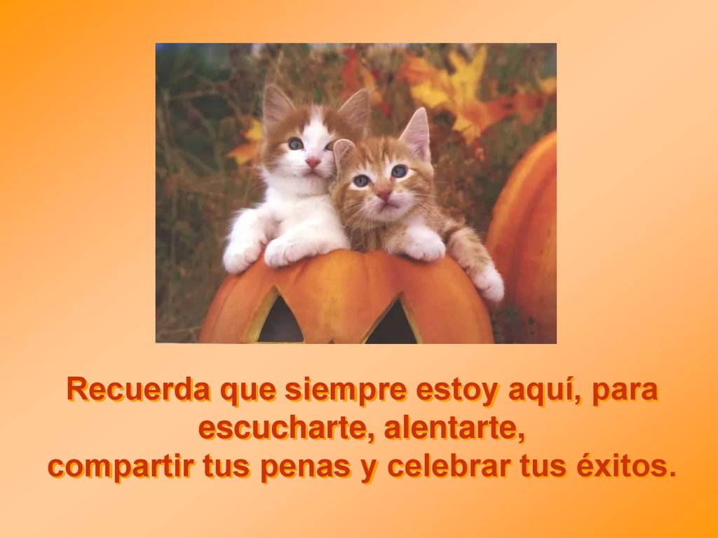 Recuerda que siempre estoy aquí, para escucharte, alentarte, compartir tus penas y celebrar tus éxitos.