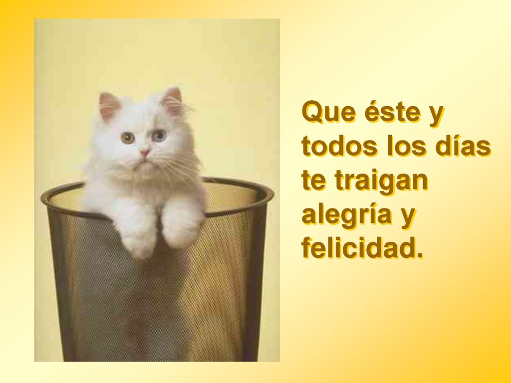 Que éste y todos los días te traigan alegría y felicidad.