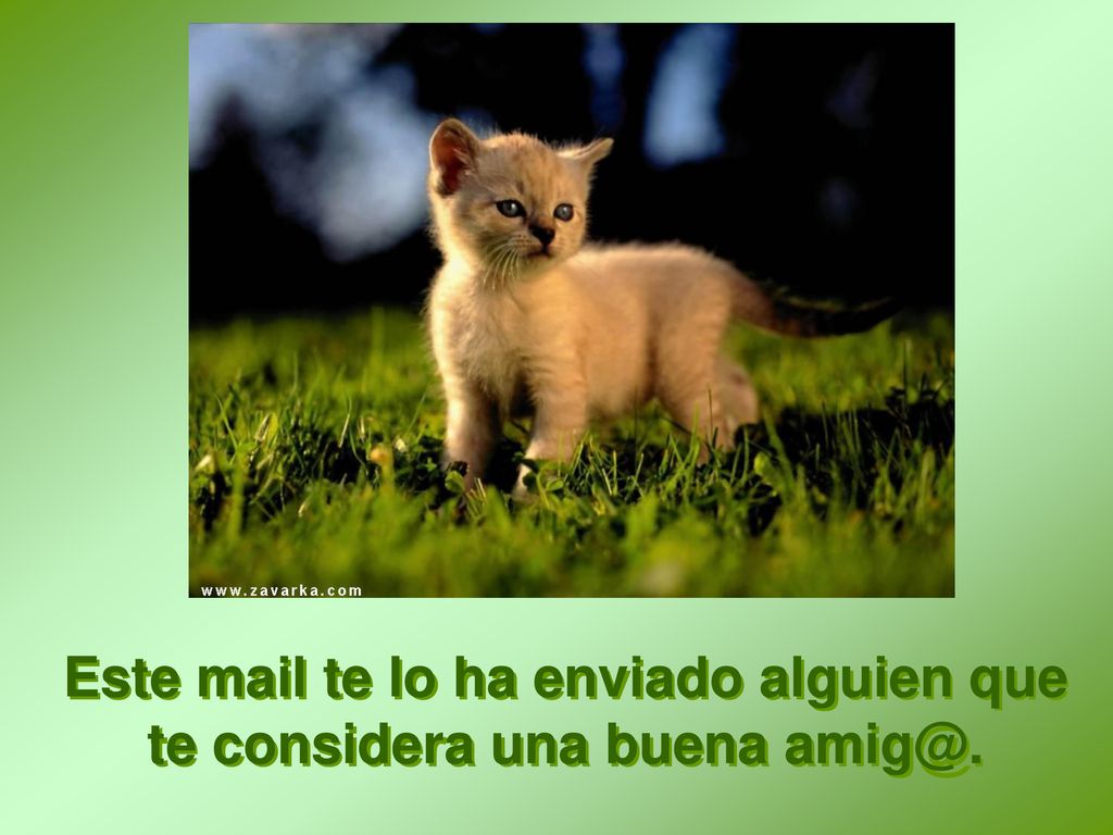 Este mail te lo ha enviado alguien que te considera una buena