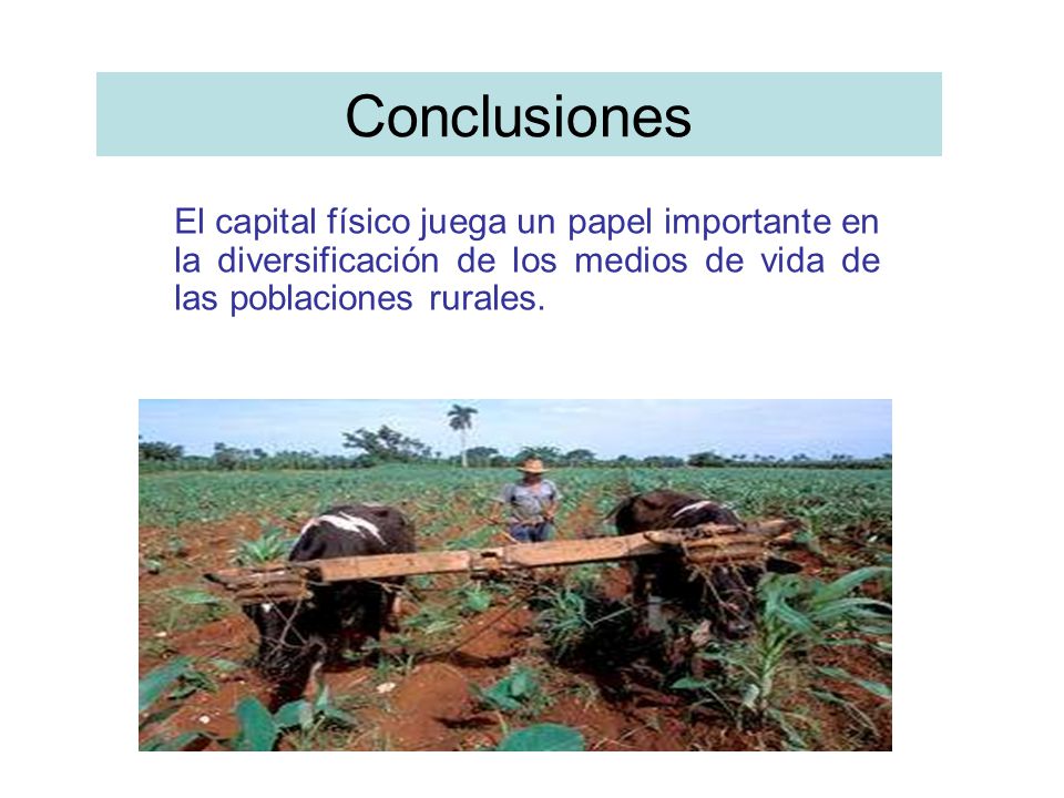 Conclusiones El capital físico juega un papel importante en la diversificación de los medios de vida de las poblaciones rurales.