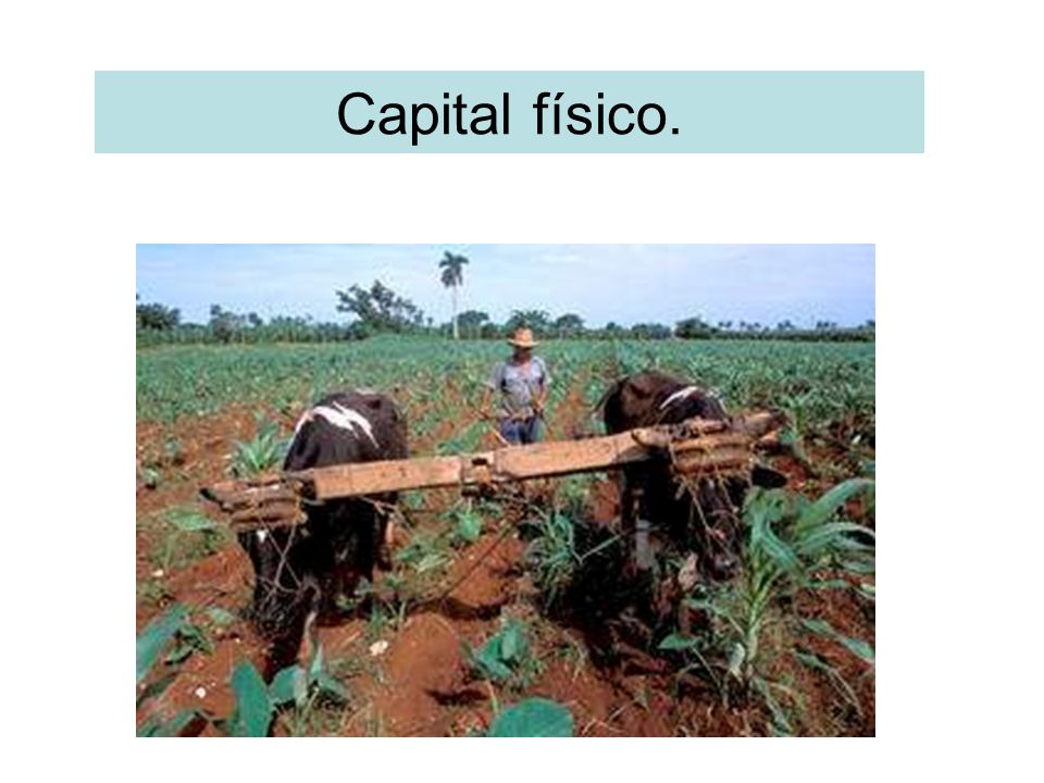 Capital físico.