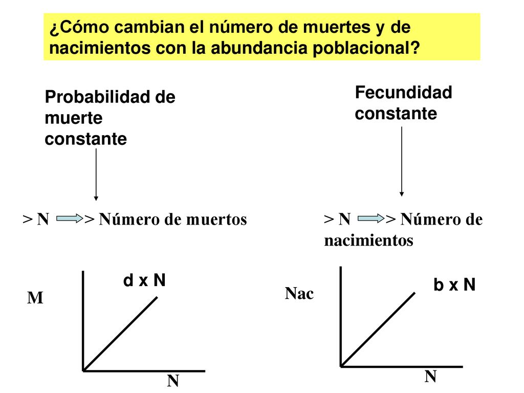 ¿Cómo cambian el número de muertes y de nacimientos con la abundancia poblacional