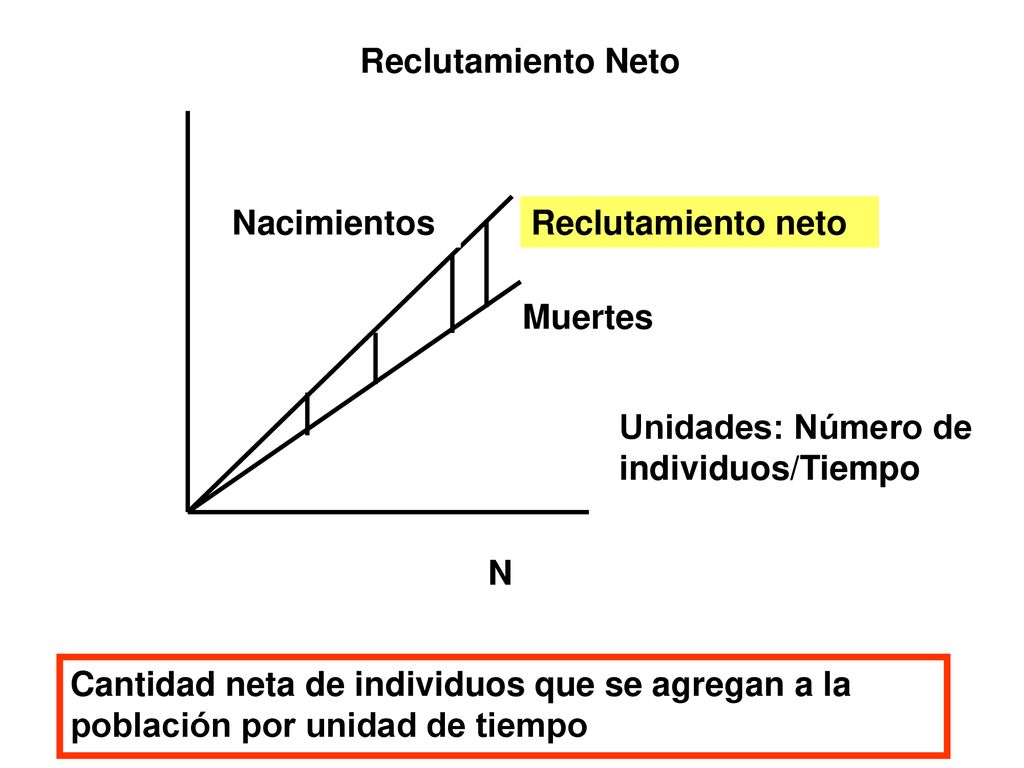 Reclutamiento Neto Nacimientos. Reclutamiento neto. Muertes. Unidades: Número de individuos/Tiempo.