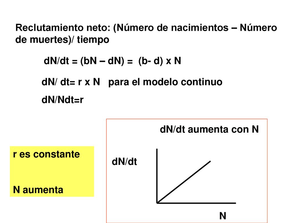 Reclutamiento neto: (Número de nacimientos – Número de muertes)/ tiempo