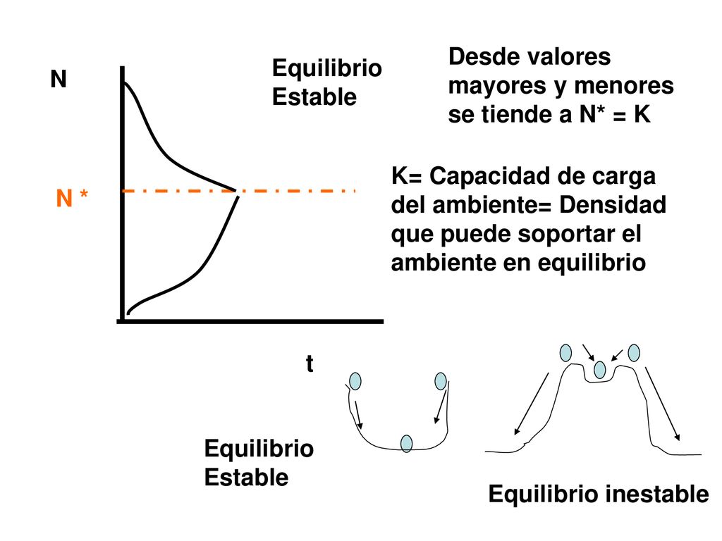 Desde valores mayores y menores se tiende a N* = K