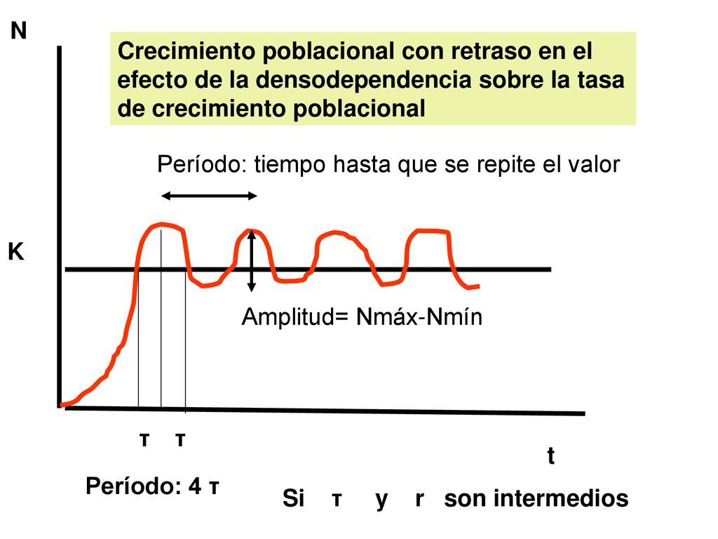 N t. K. Crecimiento poblacional con retraso en el efecto de la densodependencia sobre la tasa de crecimiento poblacional.