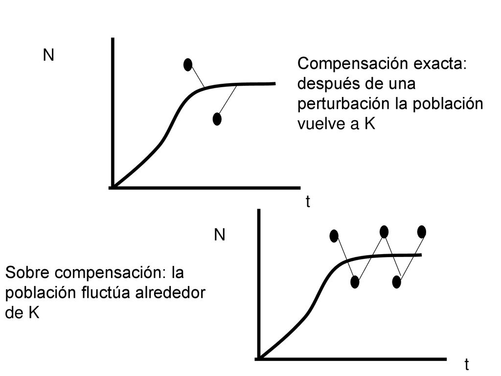 N Compensación exacta: después de una perturbación la población vuelve a K. t. N. Sobre compensación: la población fluctúa alrededor de K.