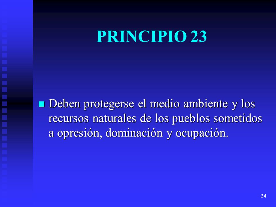 PRINCIPIO 23 Deben protegerse el medio ambiente y los recursos naturales de los pueblos sometidos a opresión, dominación y ocupación.