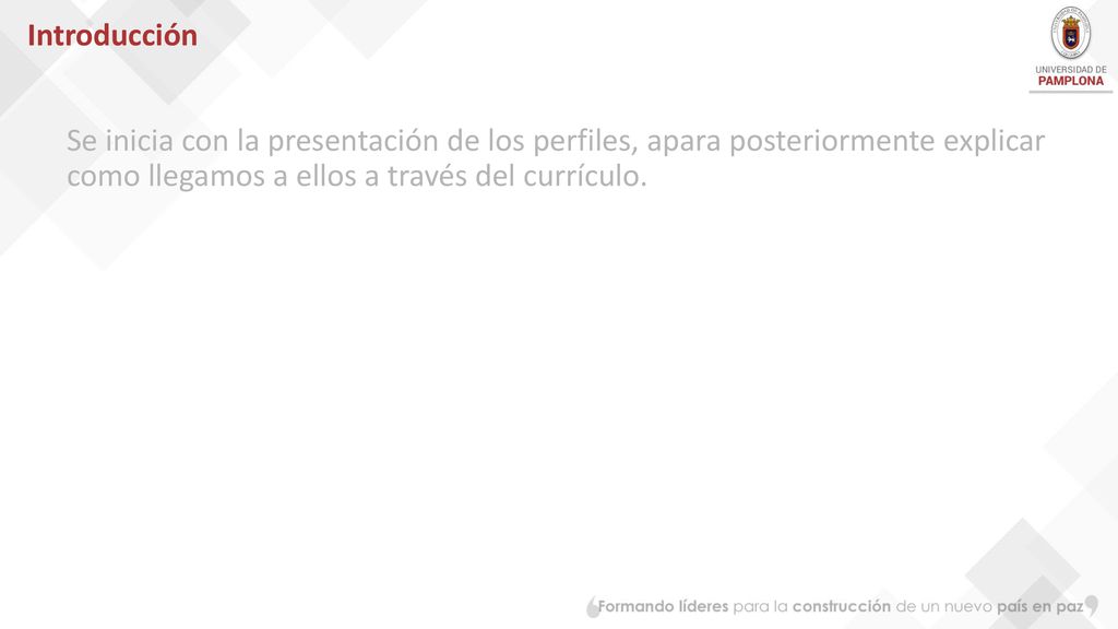 Introducción Se inicia con la presentación de los perfiles, apara posteriormente explicar como llegamos a ellos a través del currículo.
