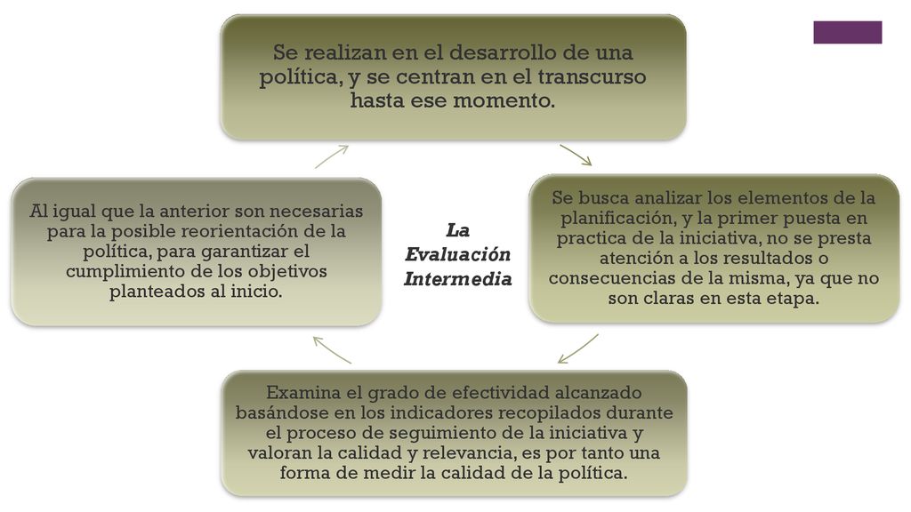 Se realizan en el desarrollo de una política, y se centran en el transcurso hasta ese momento.
