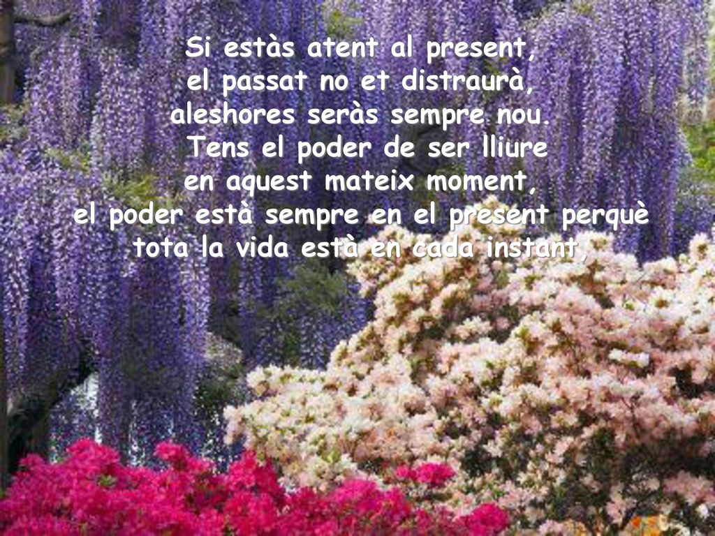 Si estàs atent al present, el passat no et distraurà, aleshores seràs sempre nou. Tens el poder de ser lliure en aquest mateix moment, el poder està sempre en el present perquè tota la vida està en cada instant,