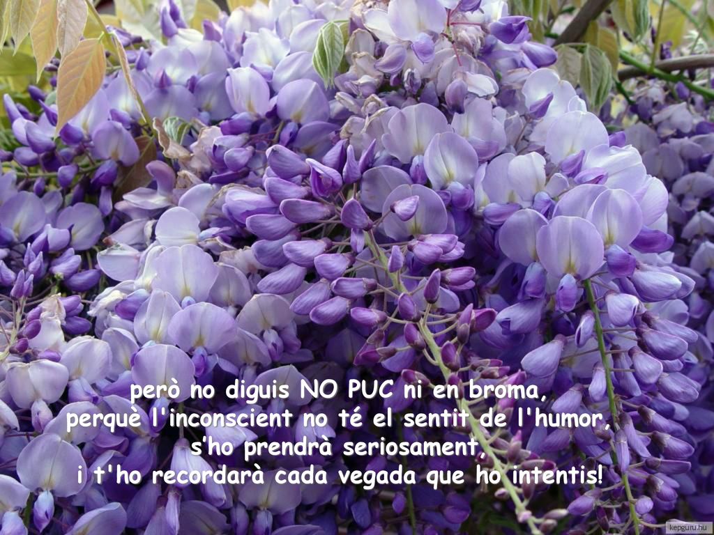 però no diguis NO PUC ni en broma, perquè l inconscient no té el sentit de l humor, s’ho prendrà seriosament, i t ho recordarà cada vegada que ho intentis!