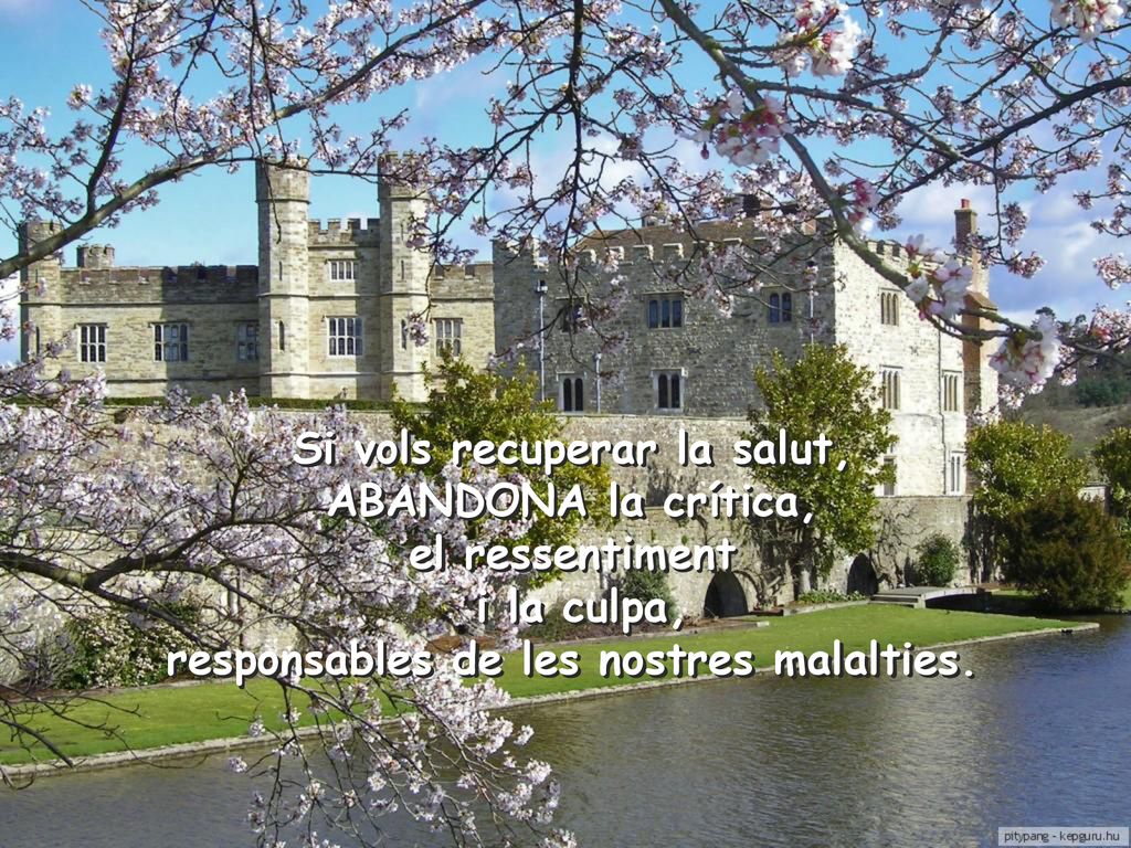 Si vols recuperar la salut, ABANDONA la crítica, el ressentiment i la culpa, responsables de les nostres malalties.