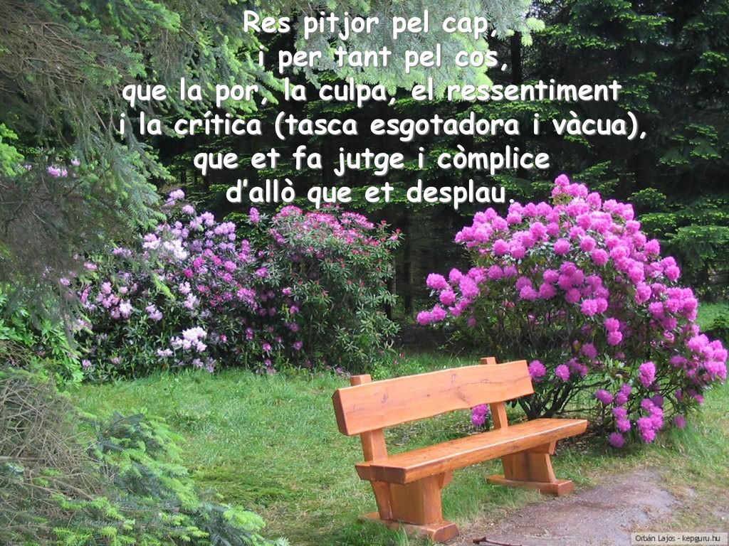 Res pitjor pel cap, i per tant pel cos, que la por, la culpa, el ressentiment i la crítica (tasca esgotadora i vàcua), que et fa jutge i còmplice d’allò que et desplau.