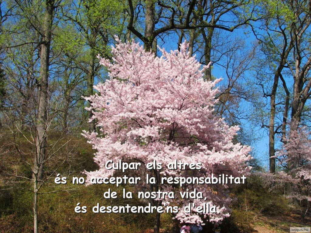 Culpar els altres és no acceptar la responsabilitat de la nostra vida, és desentendre‘ns d ella.