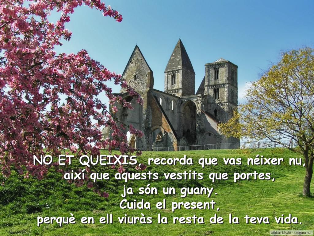NO ET QUEIXIS, recorda que vas néixer nu,